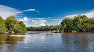 A realização da COP 30 em Belém coloca a Amazônia no centro das discussões climáticas e no radar dos temas prováveis do Enem 2025