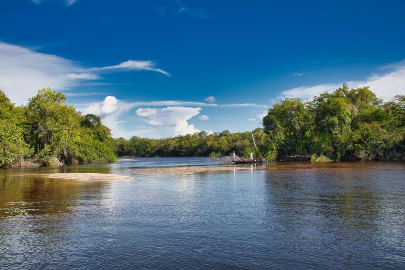 A realização da COP 30 em Belém coloca a Amazônia no centro das discussões climáticas e no radar dos temas prováveis do Enem 2025