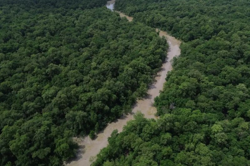 Floresta Amazônica