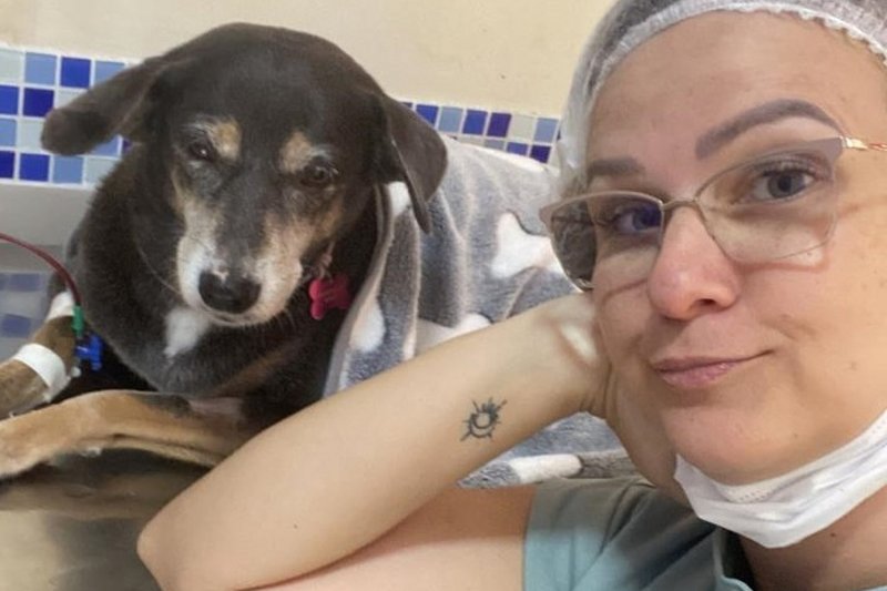 Com amor pelos animais desde a infância, Mirtes Chivers decidiu cedo que queria seguir a carreira de medicina veterinária: "Fazemos a promessa de priorizar a saúde do ser humano em todas as ocasiões, então agimos com muita empatia", afirma