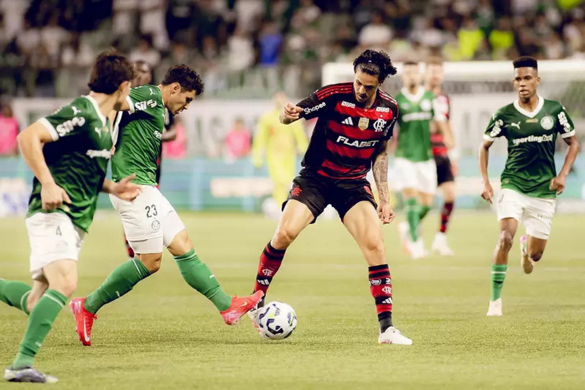 Flamengo x Palmeiras: Confira as odds atualizadas para a partida