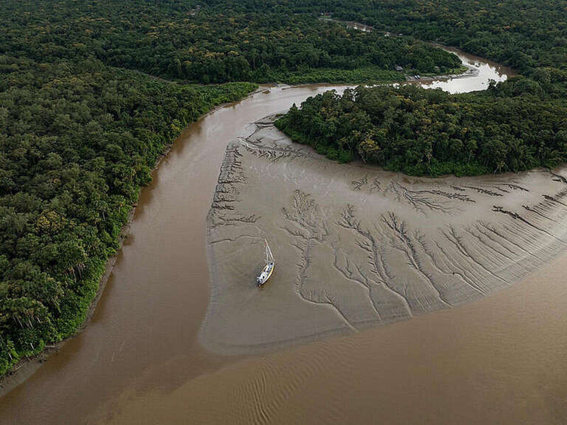 Reprodução/ Greenpeace