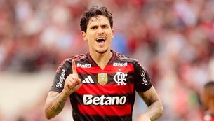 libertadores