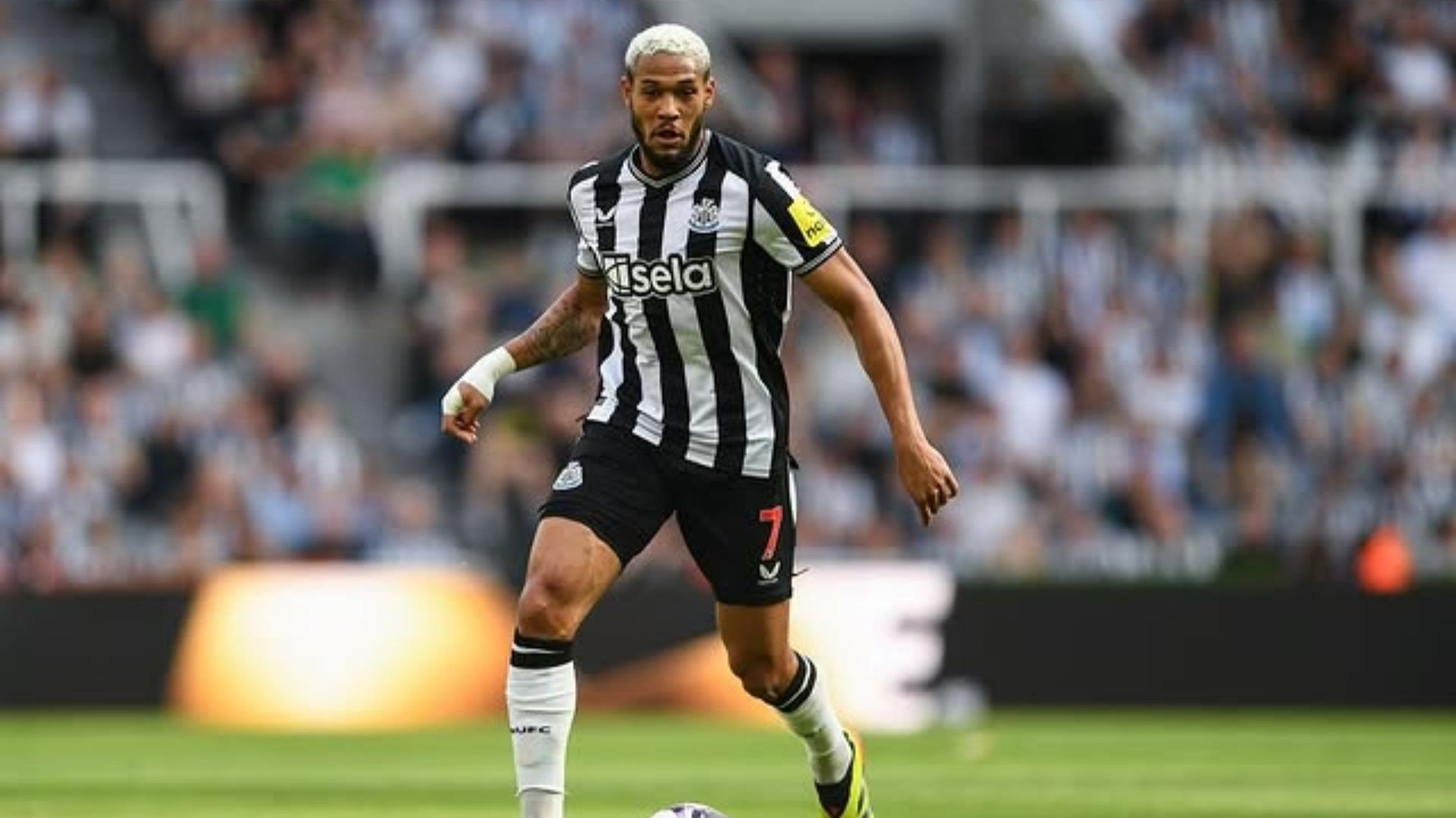 Transmissão Newcastle x Benfica ao vivo online: confira onde assistir