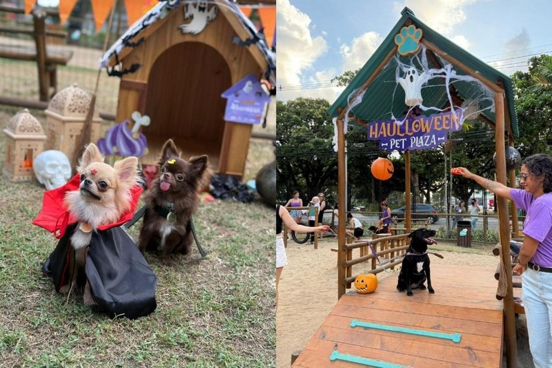 Imagem do Haulloween Pet no Plaza Shopping