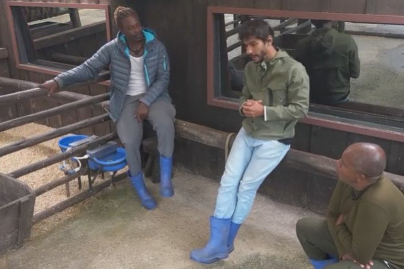 Shia afirma que Ray pegou raiva dele gratuitamente