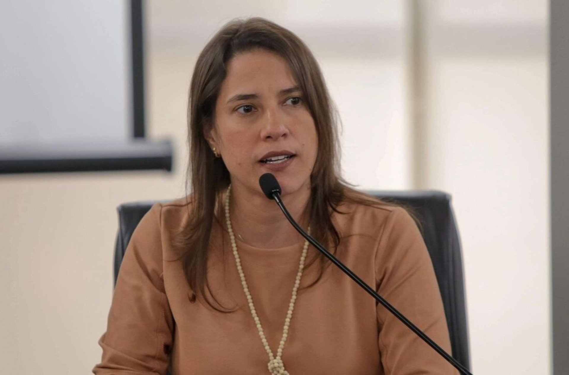Senado deve aprovar dia 4 de novembro empréstimo de R$ 1,5 bi para Pernambuco