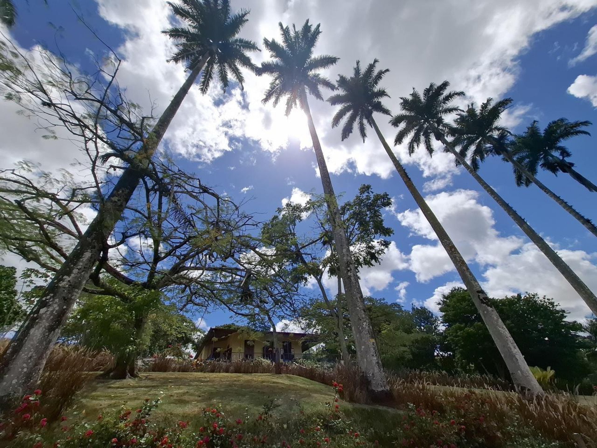 Foto da capa: Turismo de Valor