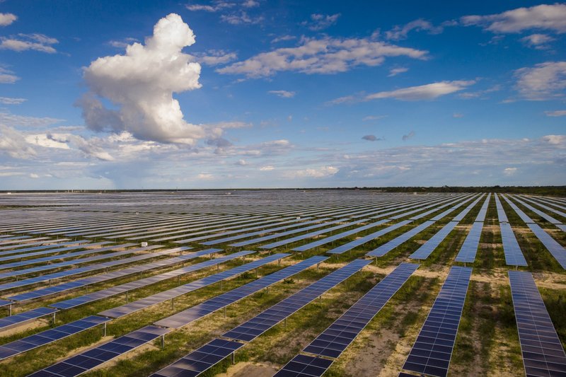 Rede D'Or reforça posicionamento sustentável, se tornando referência no âmbito hospitalar 
