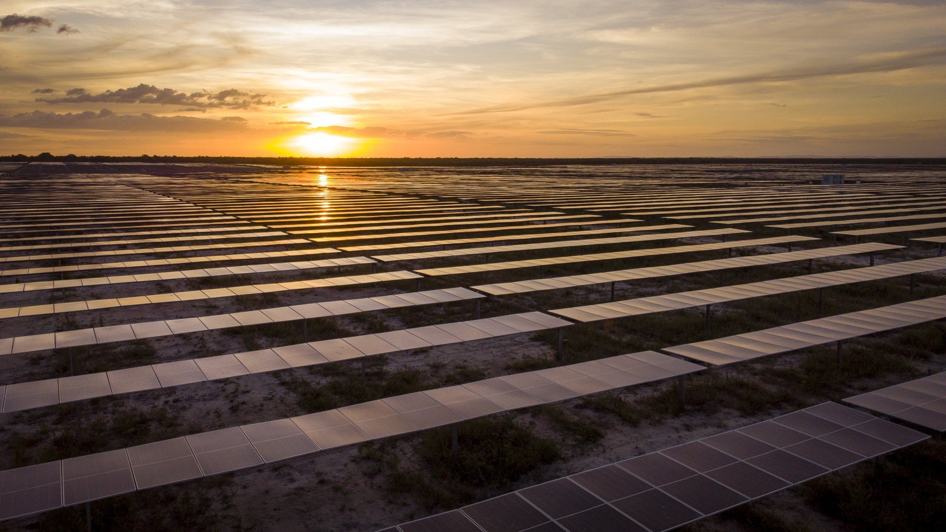 Rede D'Or/Divulgação