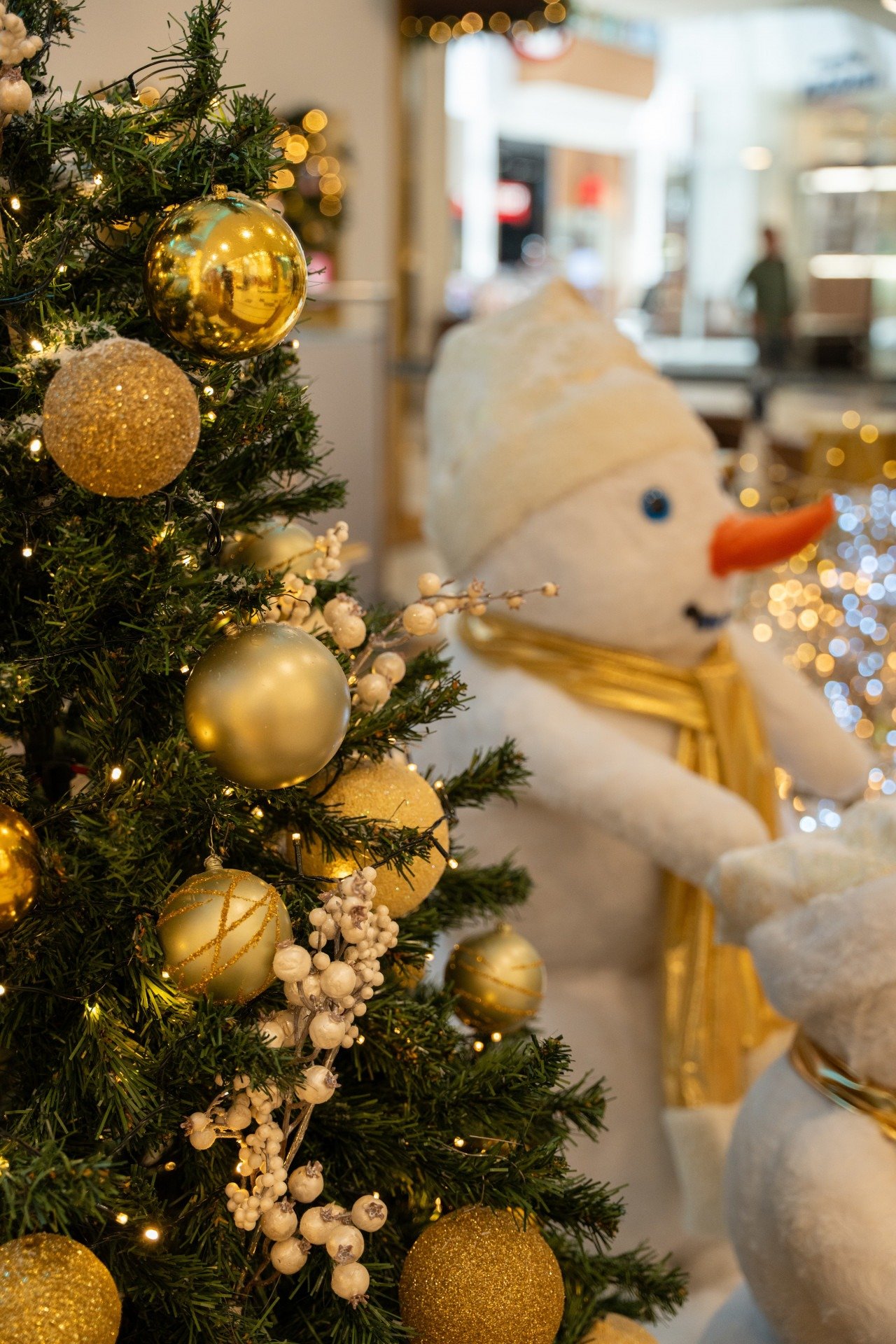 Shopping Tacaruna aposta nos bonecos de gelo tipicos do Natal  Danilo Catao