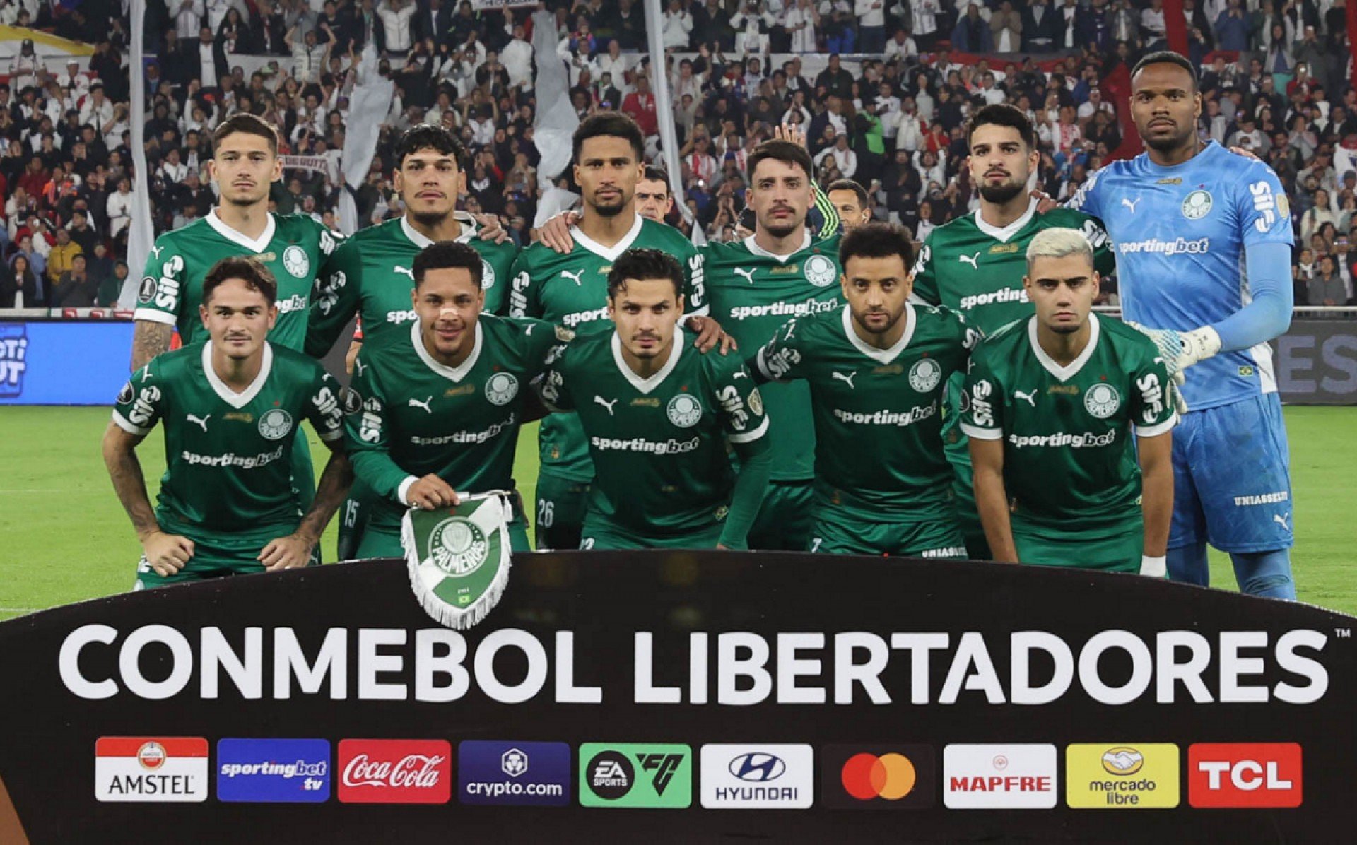 Cesar Greco/Palmeiras