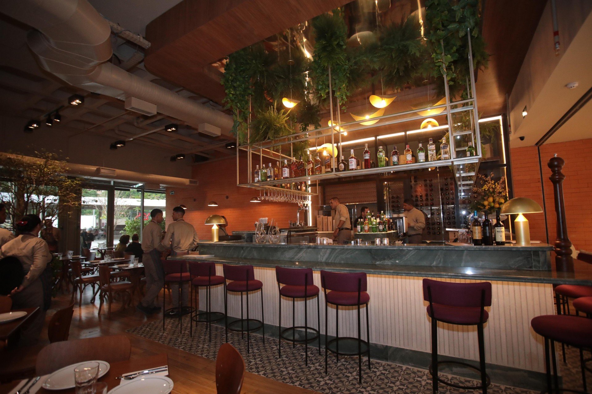 Foto: Júnior Souza/JC Imagem