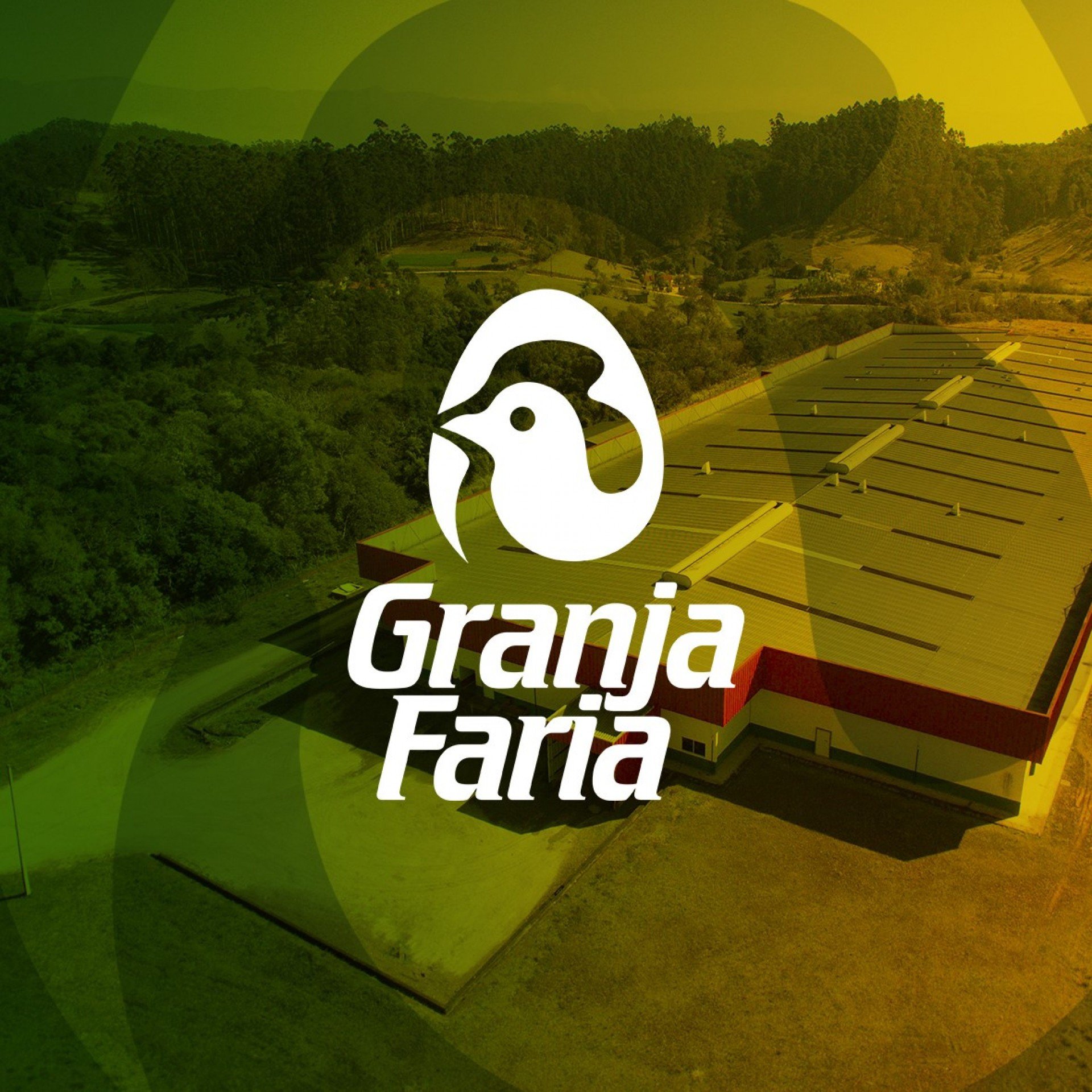 Granja Faria Nordeste Divulgação