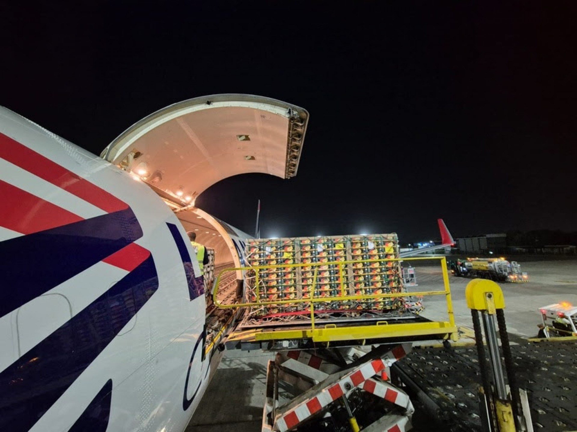 Rota de carga histórica Viracopos-Recife-Bruxelas é inaugurada