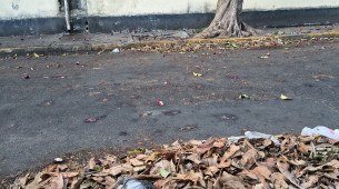 Ausência de varrição pública em via na Boa Vista