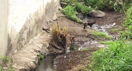 Esgoto Estourado: O Perigo Diário e a Ameaça à Saúde dos Moradores da Rua Todos os Santos no Bairro Vassoral