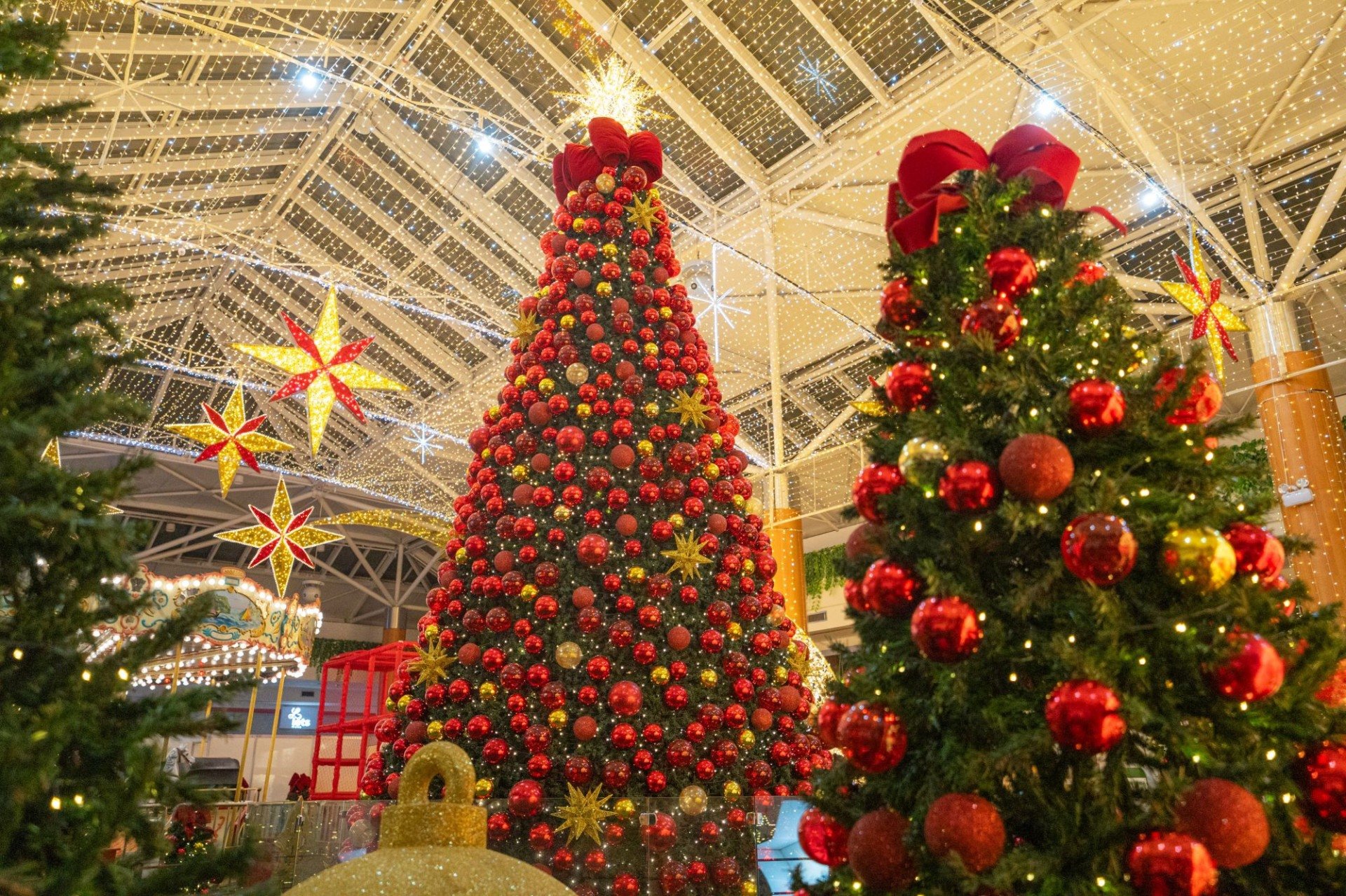 Compota Filmes/Divulgação