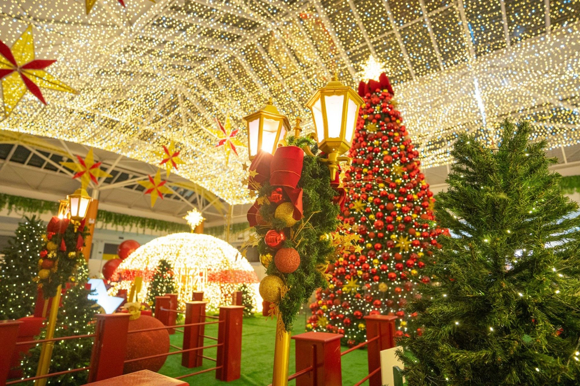 Compota Filmes/Divulgação