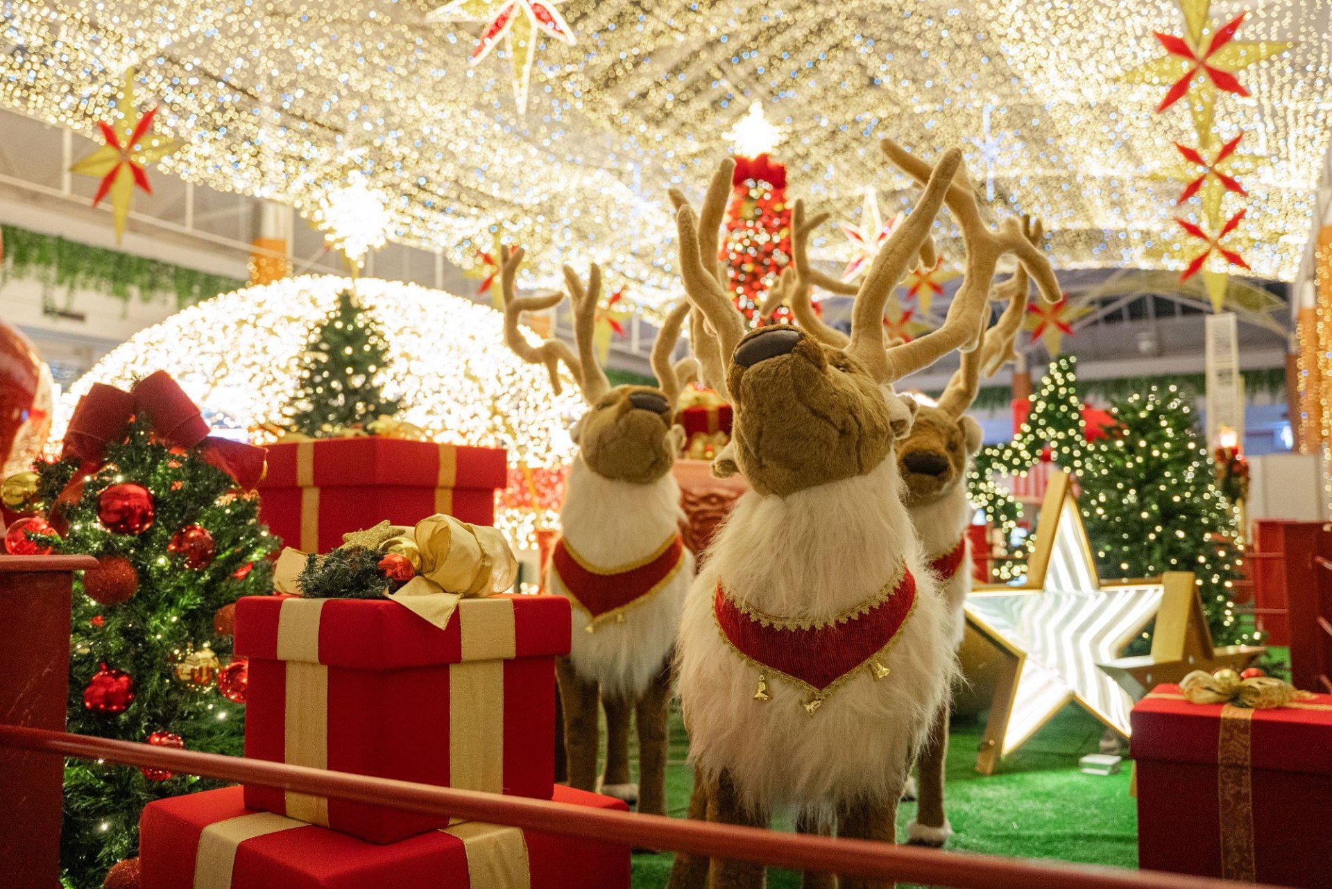 Compota Filmes/Divulgação