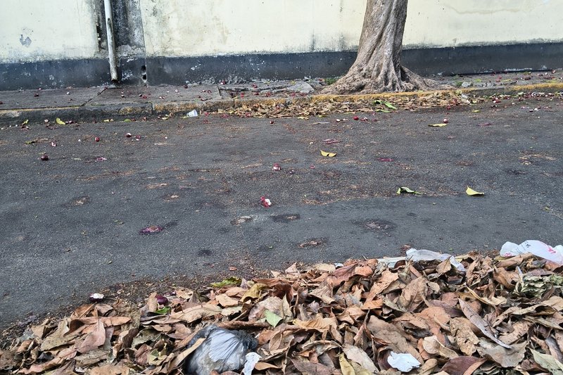 Ausência de varrição pública em via na Boa Vista