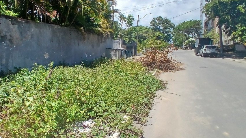 Matagal ocupa toda calçada de via em Candeias