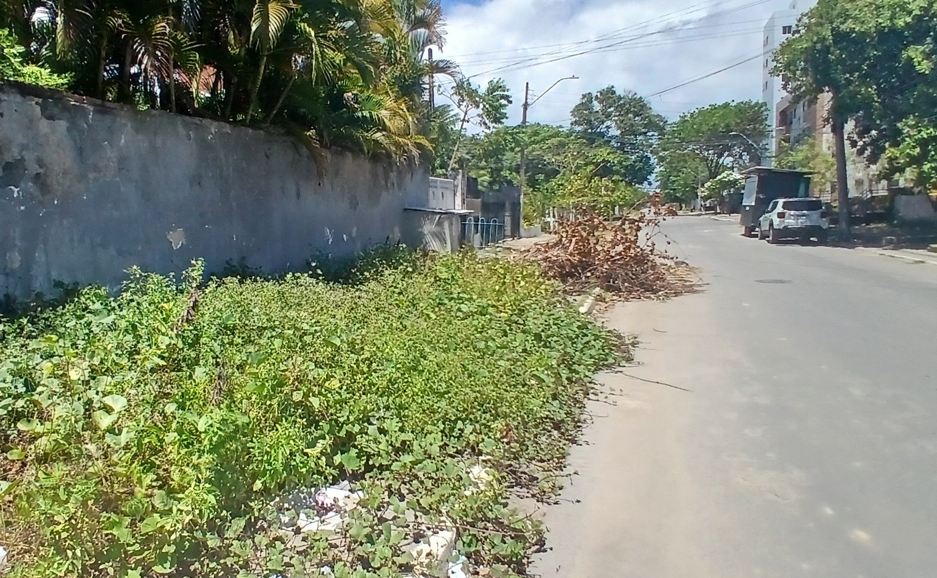 Voz do Leitor, 07/11: Matagal ocupa toda calçada de via em Candeias