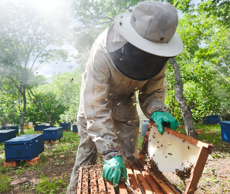 Solenidade de entrega de prêmios do Banco do Nordeste acontece nesta sexta-feira (07)