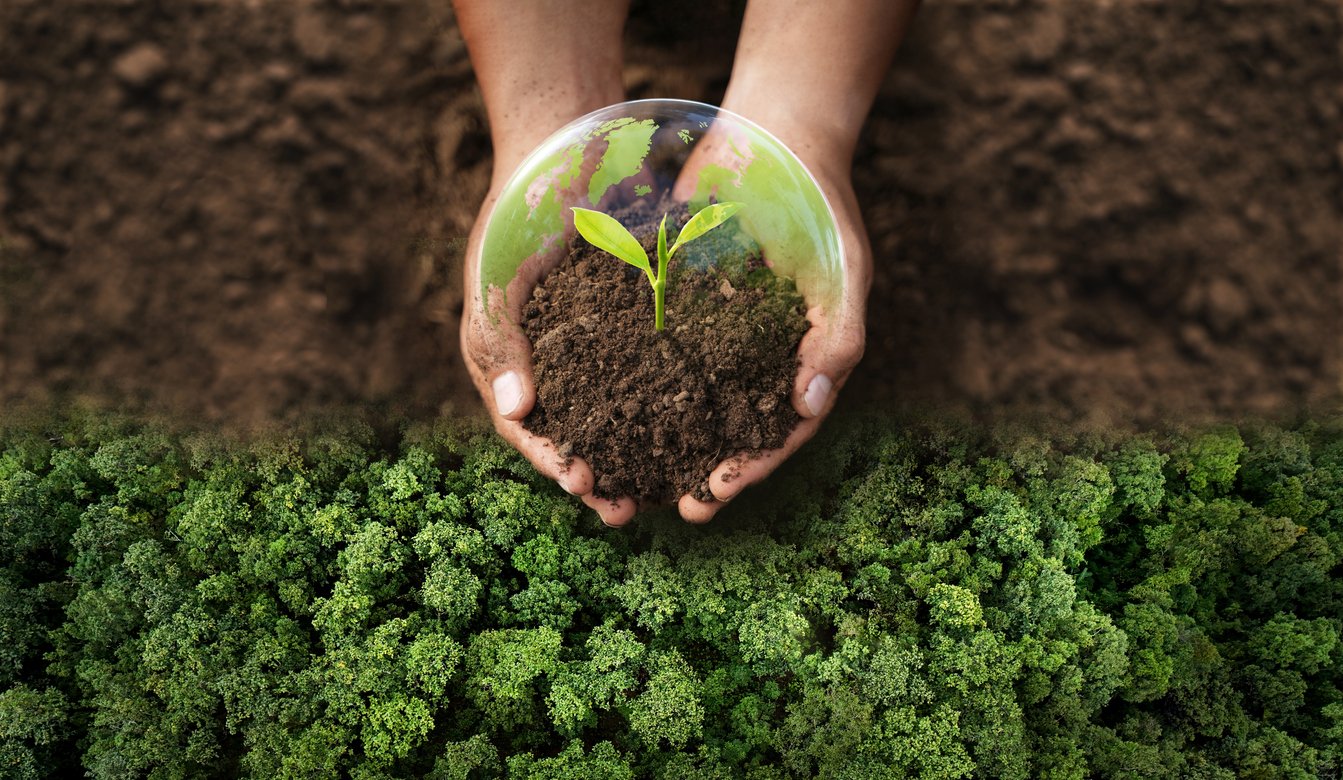 O que revisar em Biologia para o segundo dia do Enem 2025