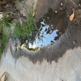 EDSON BRANCO / VOZ DO LEITOR