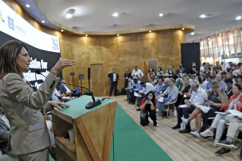 Além do Brasil, integram a coalizão Canadá, Chile, Dinamarca, Finlândia, França, Alemanha, Espanha, Suécia, Uruguai. A Holanda se somou aos dez países na assinatura da declaração