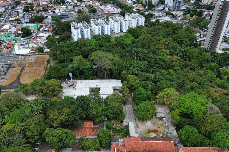 Imagem de drone do Parque da Tamarineira