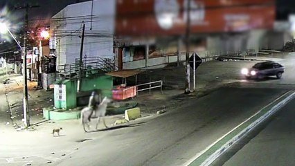 Mulher é encontrada morta após ser levada desacordada em cavalo na Região Metropolitana do Recife