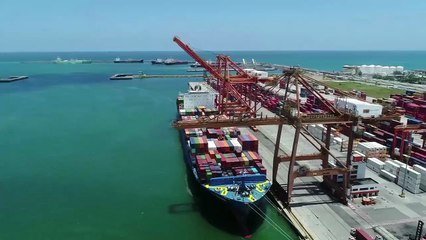 Vereadores do PSD são presos suspeitos de lavagem de dinheiro em Ipojuca