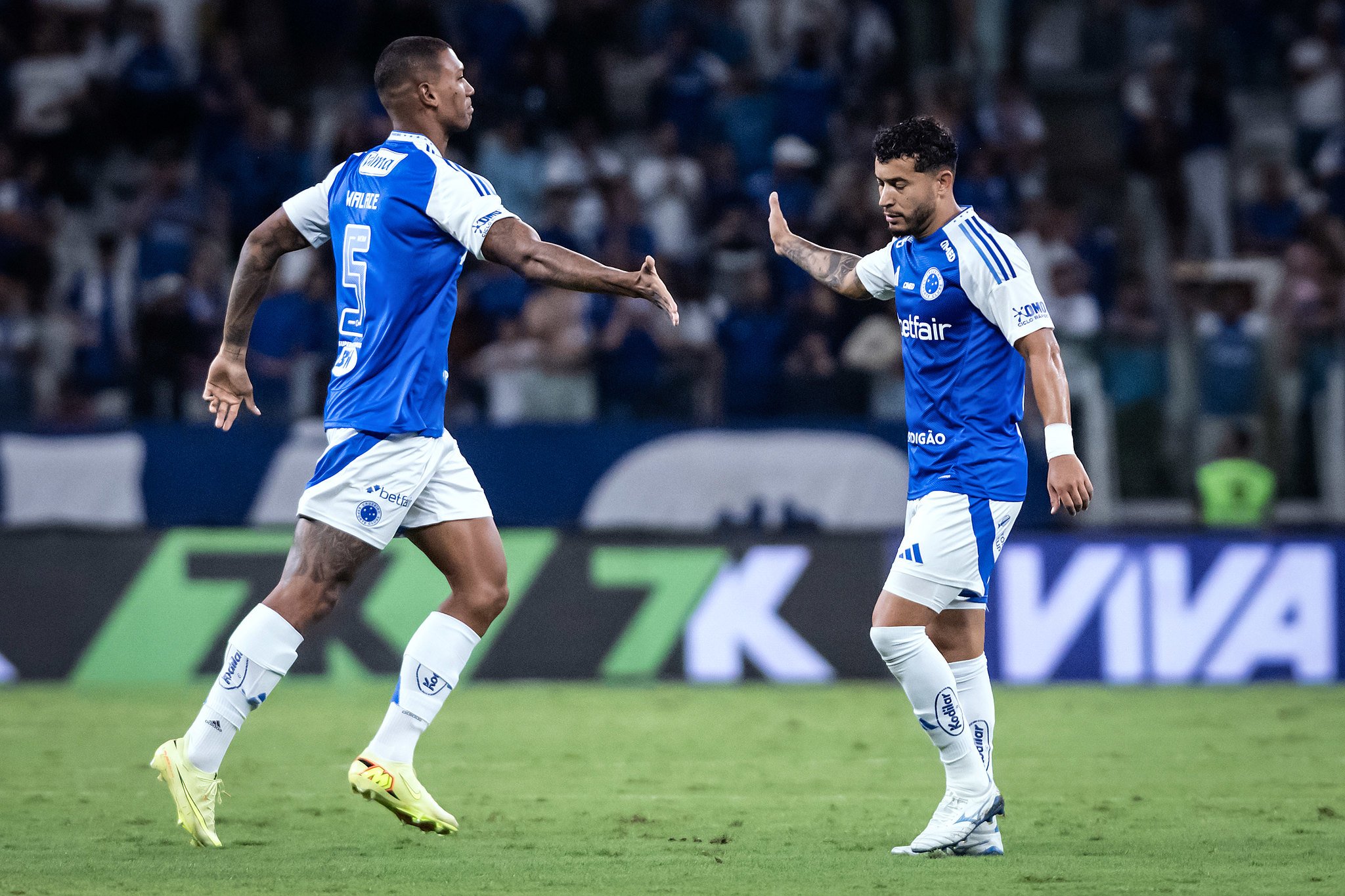 Cruzeiro x Botafogo: onde assistir ao vivo, horário e escalações