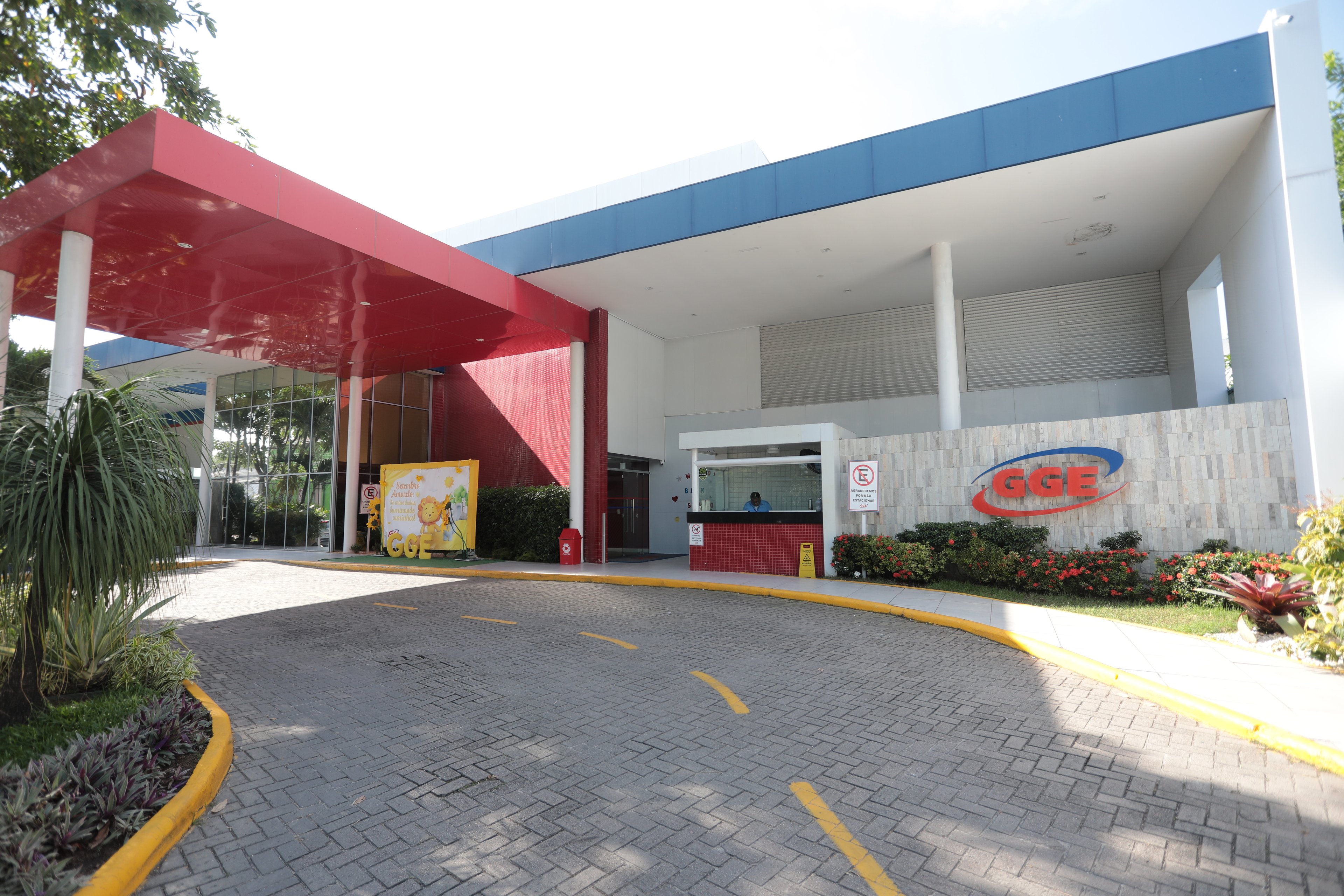 Graduação no exterior: o impulso para uma carreira global