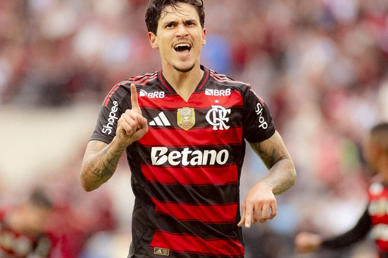 Imagem do atacante Pedro, do Flamengo, comemorando gol contra o Palmeiras