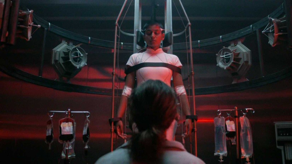 Stranger Things 5: Criadores dizem que personagem polêmica será crucial no final da série