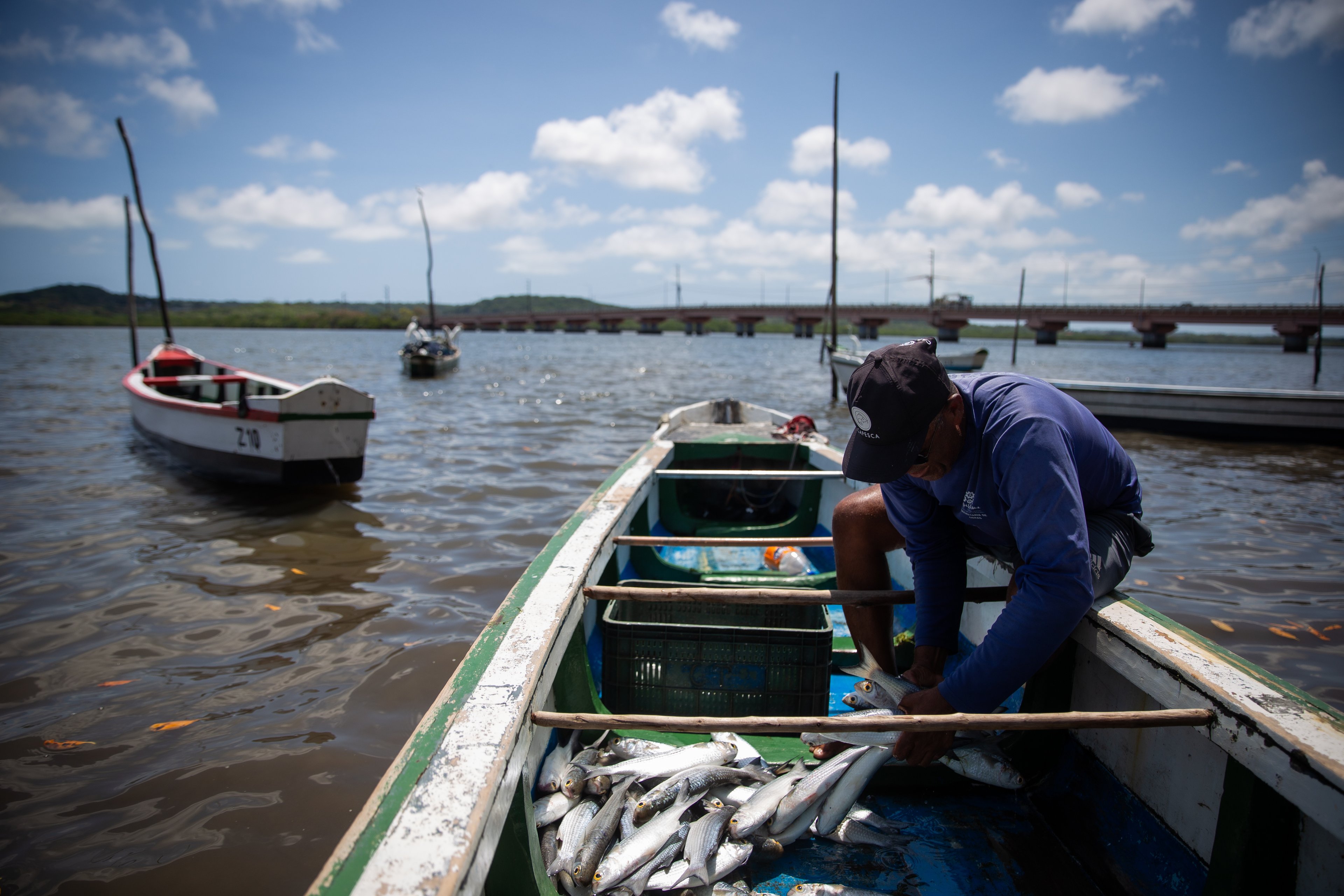 Rafael Nascimento/MS.