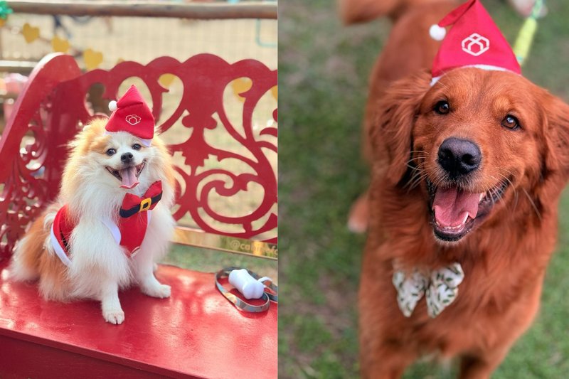 Plaza Shopping realiza evento de Natal para pets

