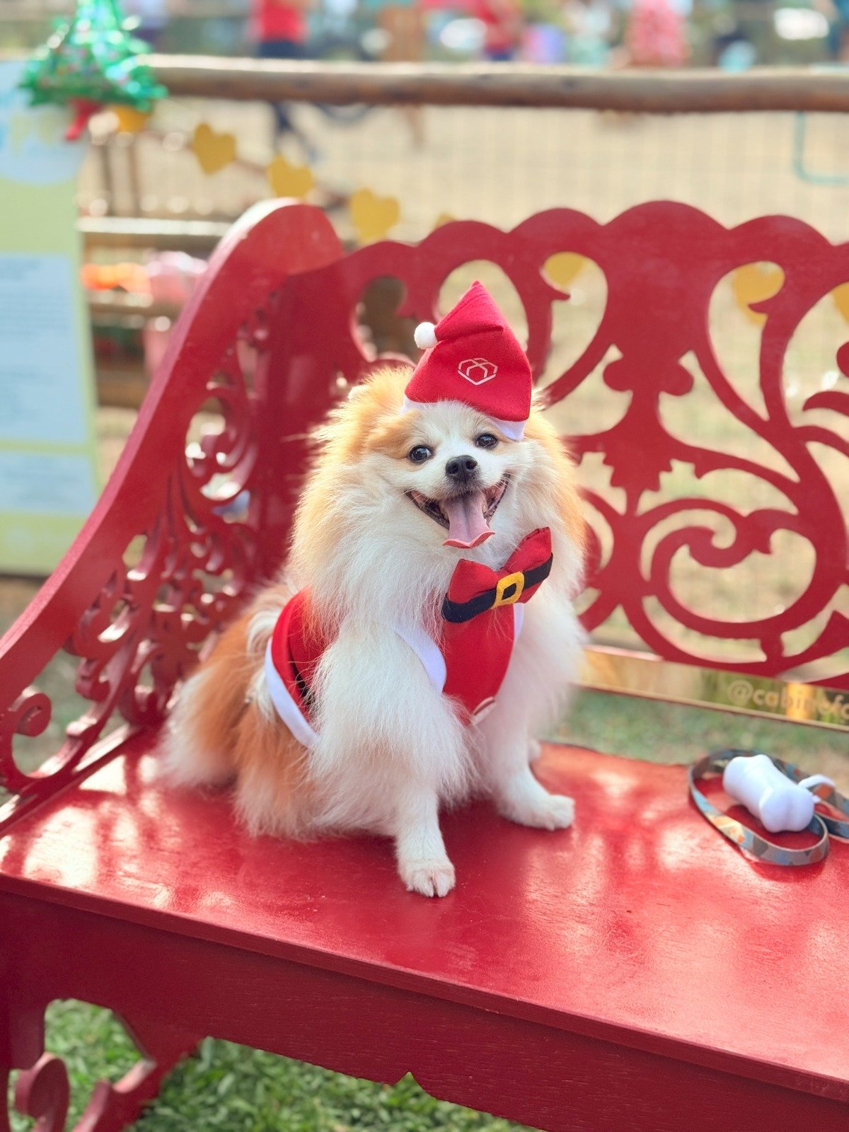 Foto: Divulgação/Acervo Bianca Branco