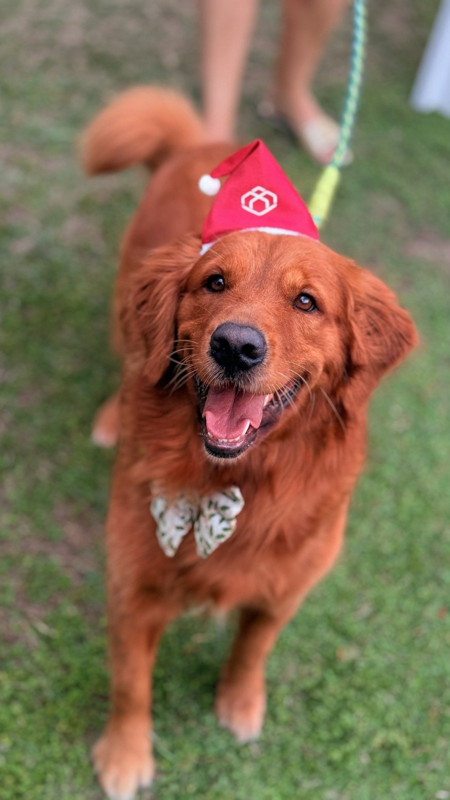 Foto: Divulgação/Acervo Bianca Branco