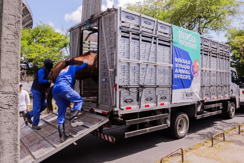 Cadastramento é obrigatório para ter direito a indenização, no caso de entrega voluntária dos animais, e acessar demais benefícios do programa