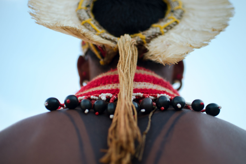 H&aacute; d&eacute;cadas que a comunidade cient&iacute;fica reconhece saberes dos povos ind&iacute;genas como importantes na descoberta de novos medicamentos