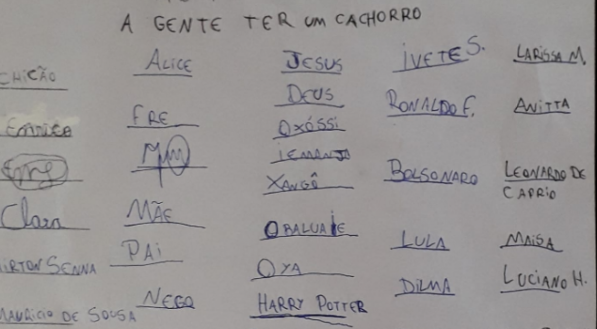 Garoto reúne 'assinaturas' de Lula, Bolsonaro e Naruto em abaixo-assinado para ganhar cachorro