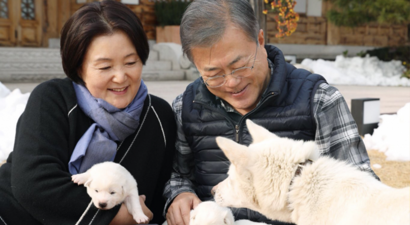 Presidente sul-coreano Moon Jae-In e sua esposa, Kim Jong-sook, posam para fotos com cachorros recebidos pelo casal como presente da Coreia do Norte