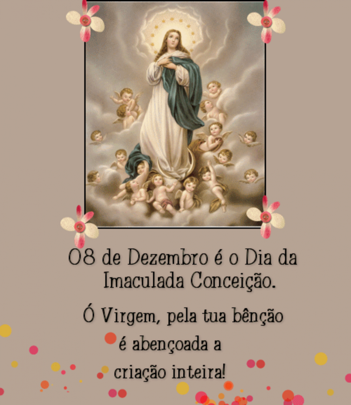 Bom dia de Nossa Senhora da Conceição, imagem de Nossa Senhora da Conceição  com mensagem; Veja formas de celebrar a santa