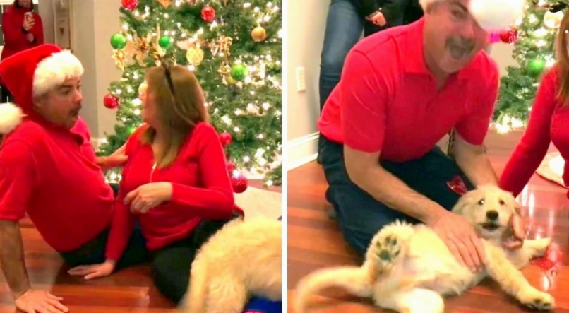 Homem se emociona após receber cachorro de presente de Natal 