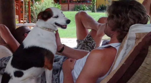 BBB 22: confira lista de pets que já foram participantes no reality 