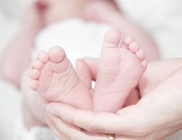 Doação Mitocondrial: Uma Concepção a Três